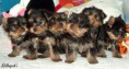 /album/galeria-de-fotos/bebes-jpg/